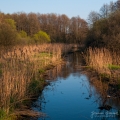 041_Biebrza - kwiecien 2010